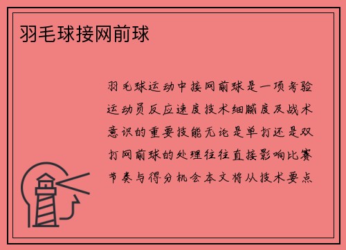 羽毛球接网前球